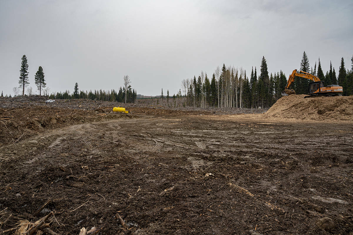 A clear-cut logging area in the Peachland watershed. (File photo)