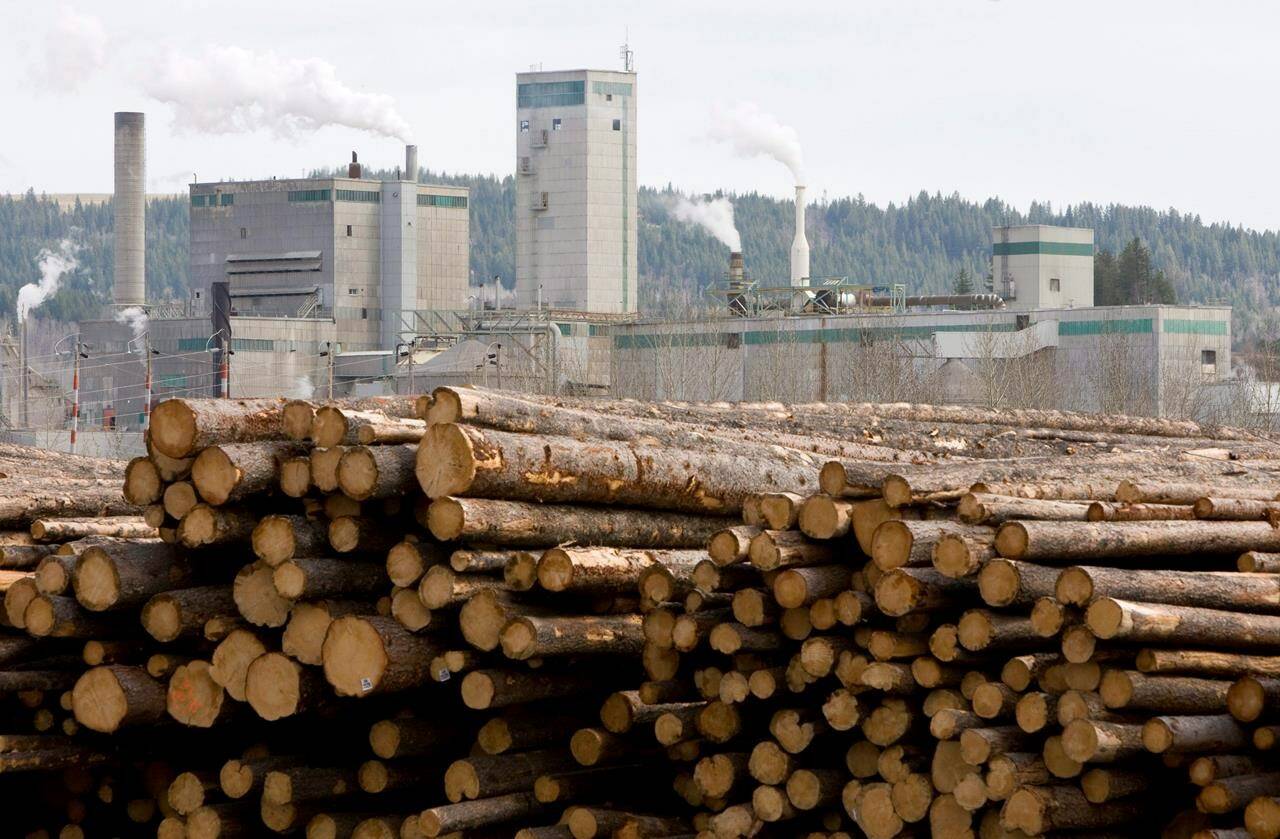 Logs are piled up at West Fraser Timber in Quesnel, B.C., Tuesday, April 21, 2009. THE CANADIAN PRESS/Jonathan Hayward
