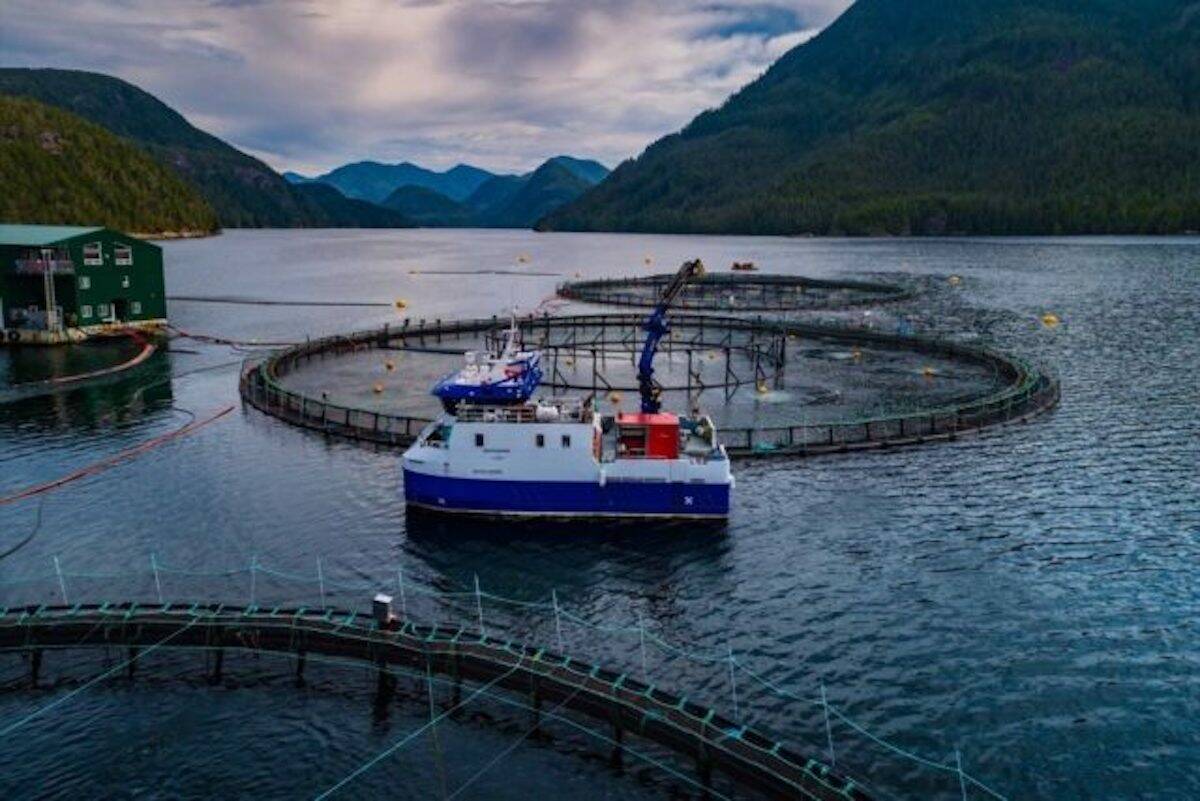 Nineteen salmon farms in the Discovery Islands were given 18 months to vacate, causing shock and uncertainty in the industry. (Photo courtesy Grieg Seafood BC)