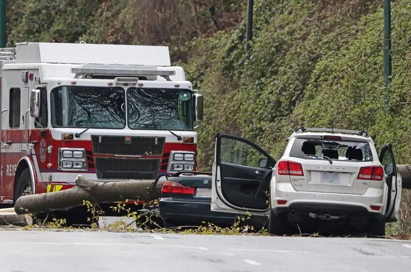 A large tree blew over during high winds on Tuesday, April 12, in south Vancouver, crushing a car driving in the westbound lanes. Tragically, the sole occupant of that Honda car died at the scene. (Shane MacKichan/Contributed to Black Press Media)