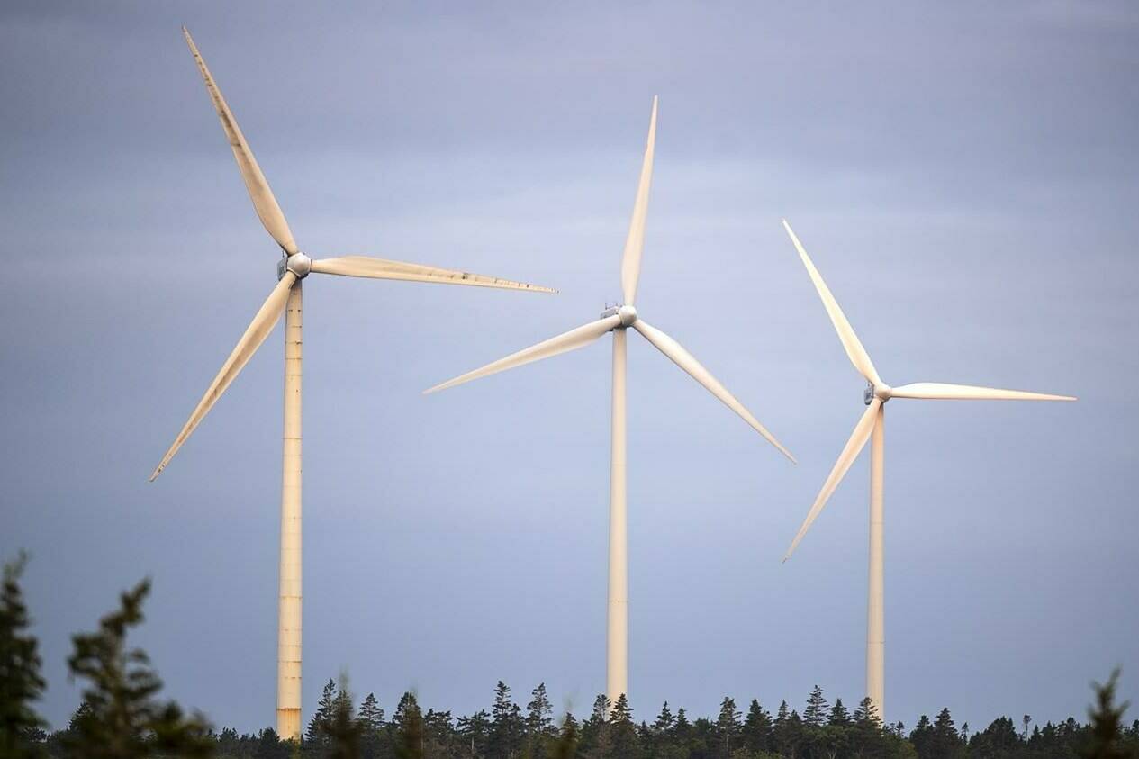 The West Pubnico Point Wind Farm is seen in Lower West Pubnico, N.S. on Monday, Aug. 9, 2021. THE CANADIAN PRESS/Andrew Vaughan
