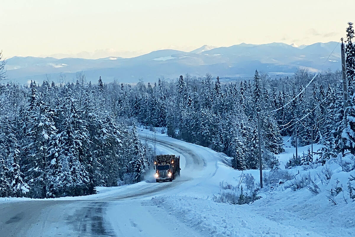Log truck hauls a load on Likely Road in the Cariboo region. (Angie Mindus/Williams Lake Tribune)