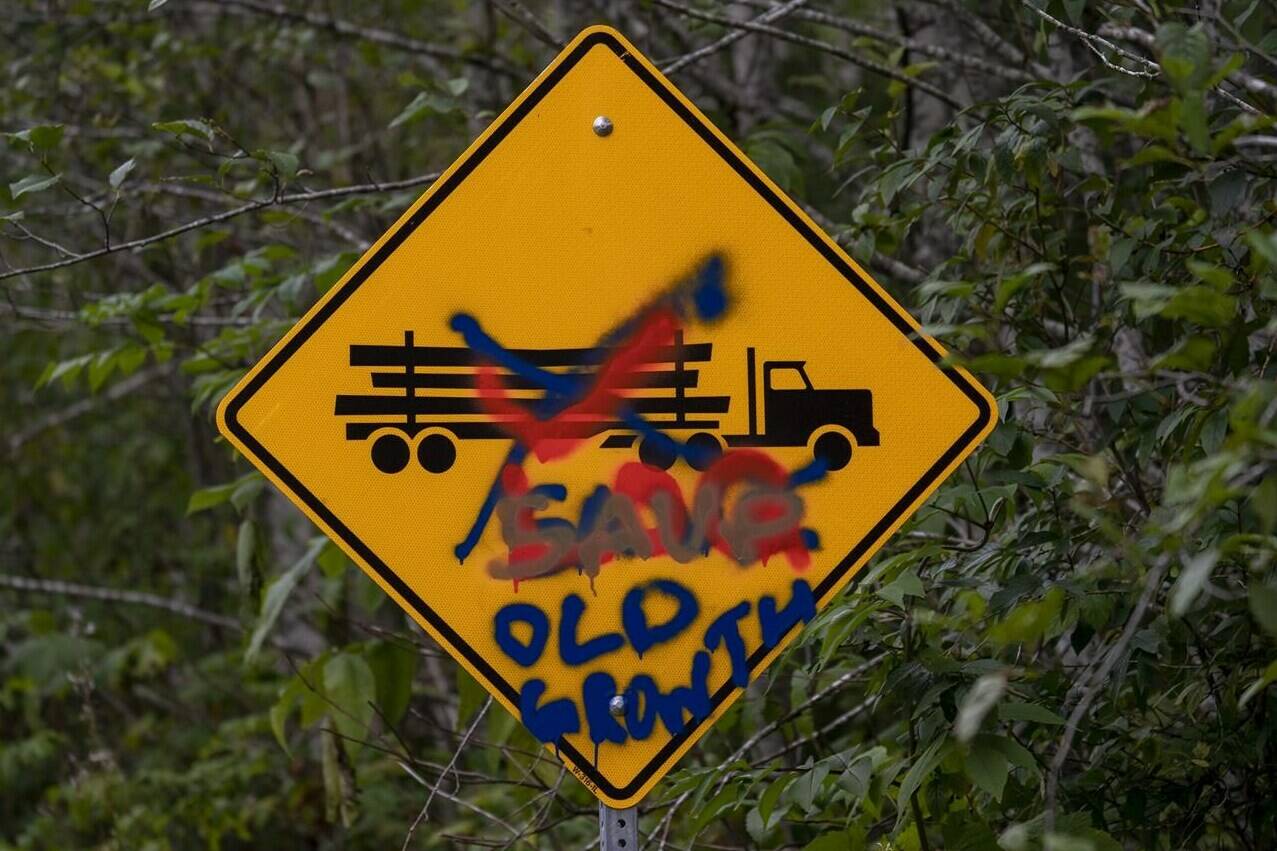 A defaced road sign of a logging truck is seen near the protest site of Fairy Creek on southern Vancouver Island on Oct. 4, 2021. British Columbia’s forest minister Katrine Conroy says the province is working to implement a strategic review of B.C.’s old-growth management and is working with First Nations and other partners to develop a new long-term strategy. THE CANADIAN PRESS/Jonathan Hayward