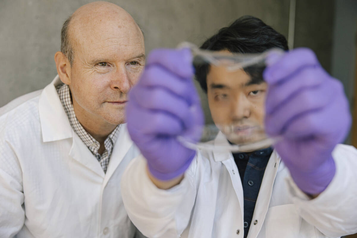 Dr. John Madden and Yuta Dobashi with one of the hydrogel sensors. (Kai Jacobson/UBC Faculty of Applied Science)