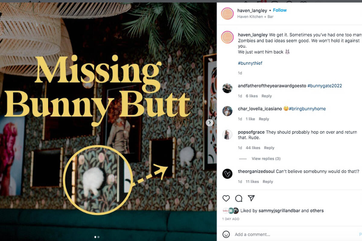Haven Kitch + Bar Langley is a family owned restaurant, which posted about the stolen taxidermy bunny butt on their Instagram channel. The post went viral and a number of people are asking the staff to release the video of the bunny bandit. (Special to Langley Advance Times)