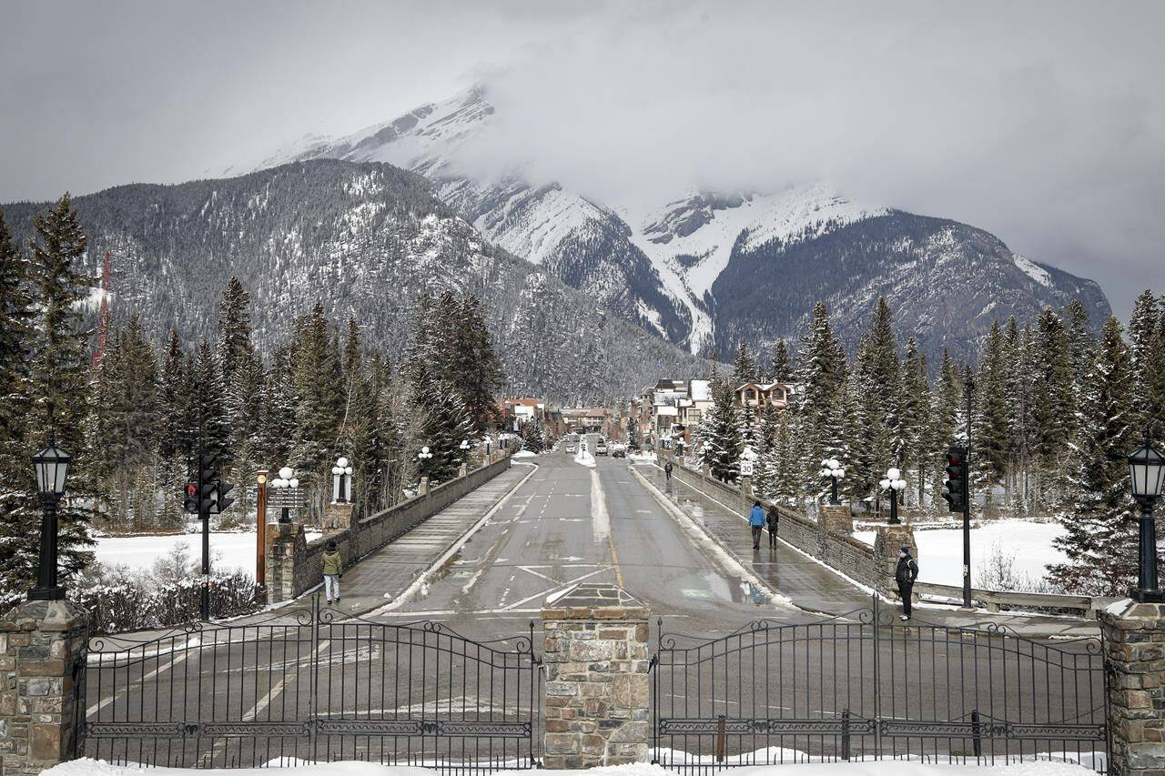 The streets of Banff are seen on March 24, 2020, when Parks Canada restricted vehicles in national parks and at national historic sites during the COVID-19 pandemic. A study that analyzed data on the movement of grizzly bears and wolves in Alberta’s Bow Valley shows the animals are avoiding developed areas and times when lots of people are around. THE CANADIAN PRESS/Jeff McIntosh