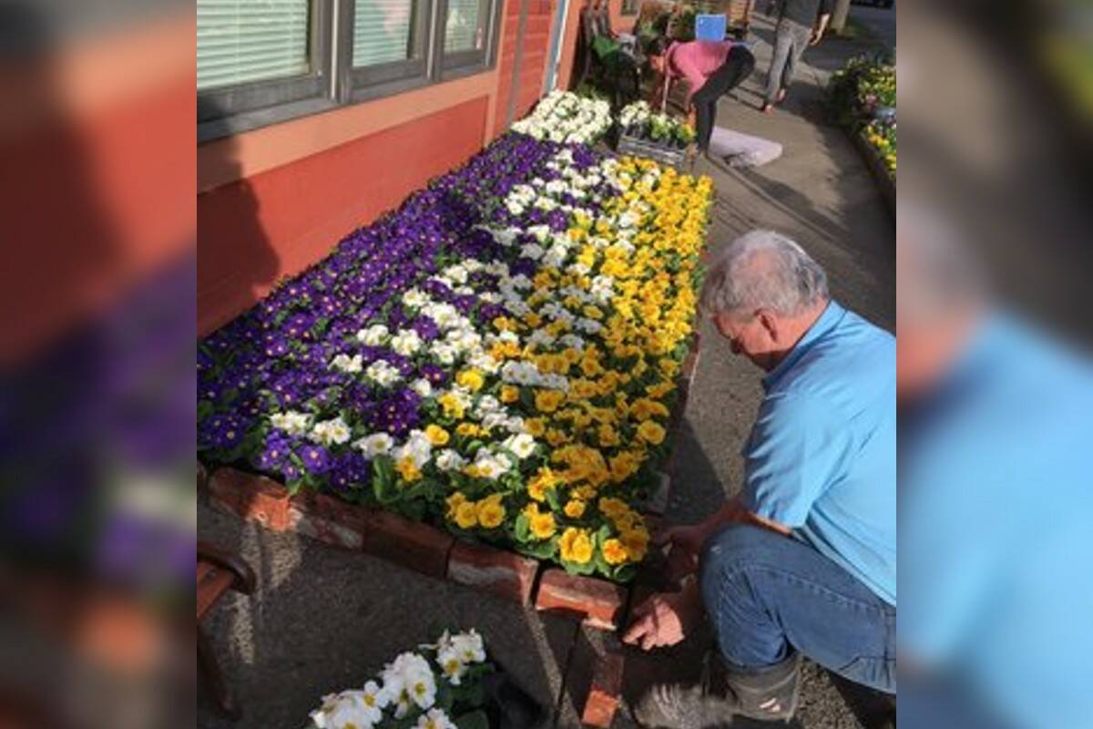 Sahasi Erven plants a smaller flower flag for Ukraine at Fernwood’s Oneness Heart Park. (flagofflowers.ca)