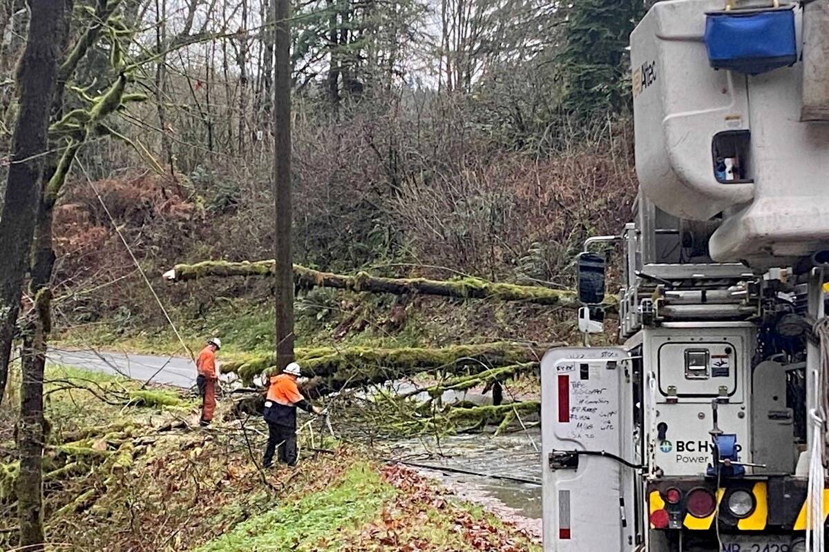 FILE: Hydro crews work on downed power lines taken out by a tree. (Colleen Flanagan/Black Press Media)
