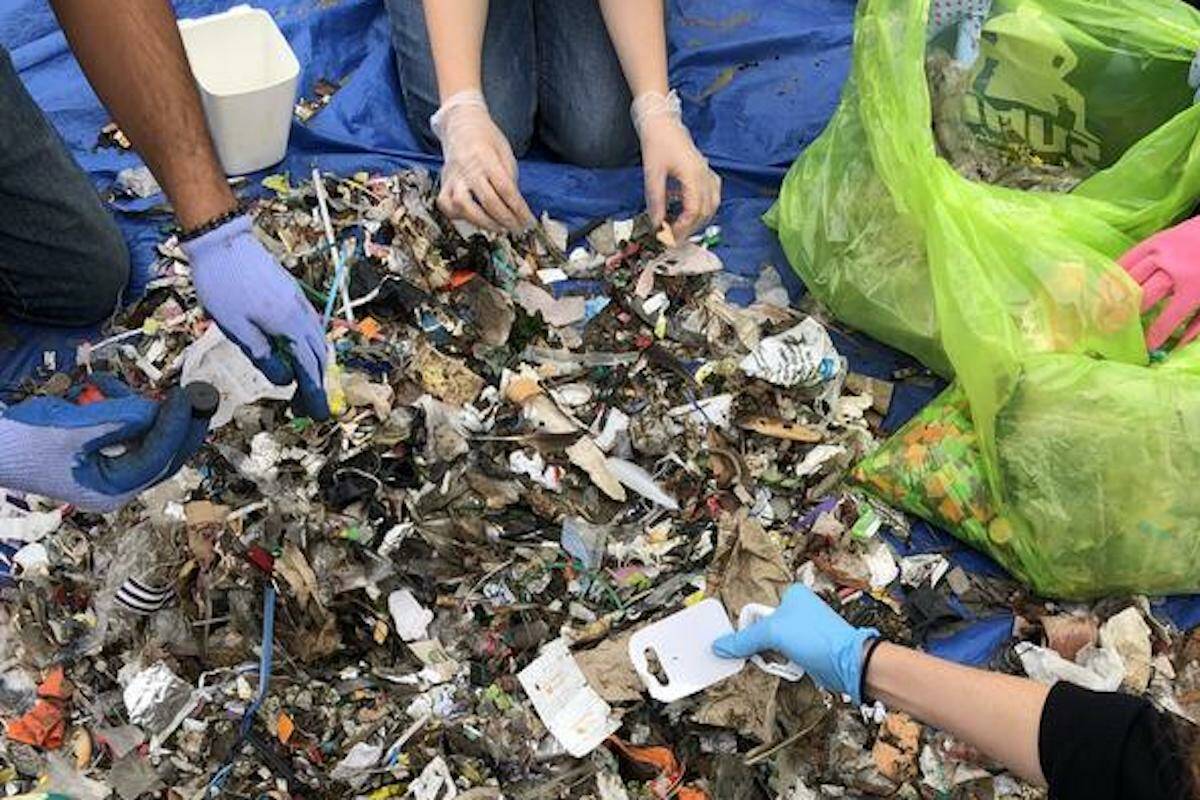 Trash collected during a 2019 cleanup and brand audit at Kitsilano Beach on Coast Salish Territory, Vancouver, B.C. being sorted by volunteers. The cleanup was hosted by Surfrider Vancouver. (Photo courtesy of Greenpeace Canada)