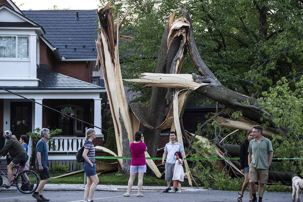 Residents and community members gather to look at a tree that was destroyed during a major storm in Ottawa on Saturday, May 21, 2022. THE CANADIAN PRESS/Justin Tang