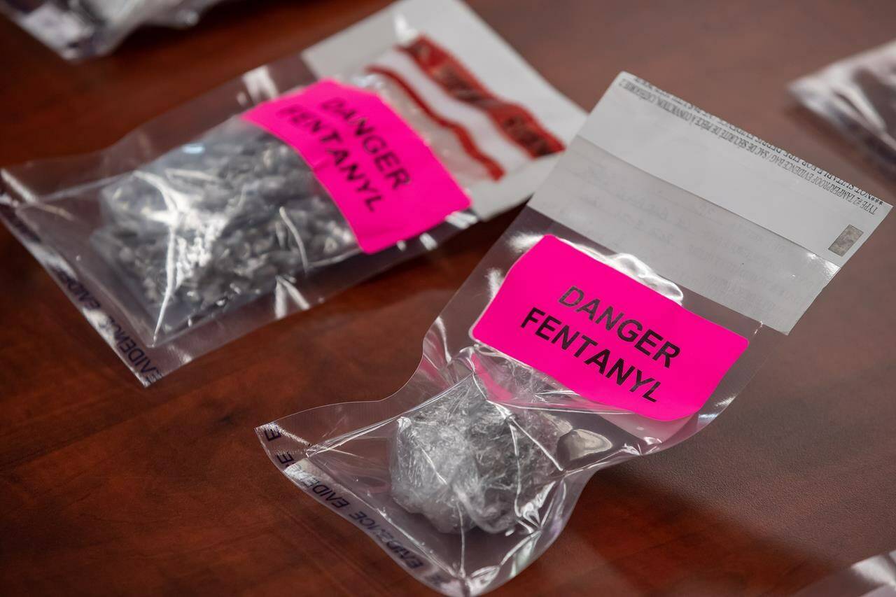 Evidence bags containing fentanyl are displayed during a news conference at Surrey RCMP Headquarters, in Surrey, B.C., on Thursday, Sept. 3, 2020. The federal government is set to make what it's calling an "important announcement" with the British Columbia government on the overdose crisis. THE CANADIAN PRESS/Darryl Dyck