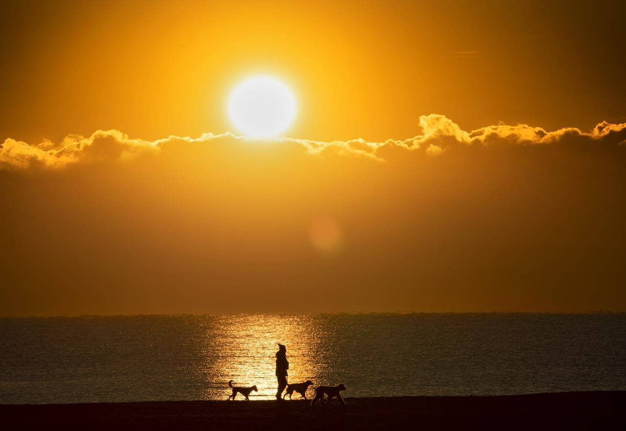 A woman walks her dogs along the beach by Lake Ontario as the sun rises in Toronto on Wednesday, February 10, 2021. Higher than normal temperatures across much of the country will offer Canadians a chance to enjoy the summer, but predictions from a prominent national forecaster warn the humidity could welcome a rather stormy season. THE CANADIAN PRESS/Frank Gunn