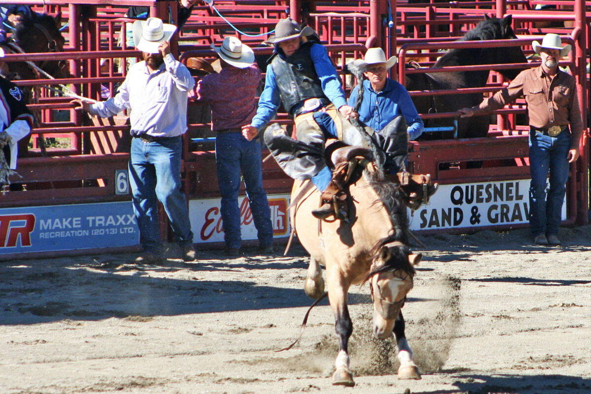 Tyson Roberts of Quesnel holds on during the saddle bronc event at the B.C. High School Rodeo in Spring 2020. (Cassidy Dankochik photo - Quesnel Cariboo Observer)