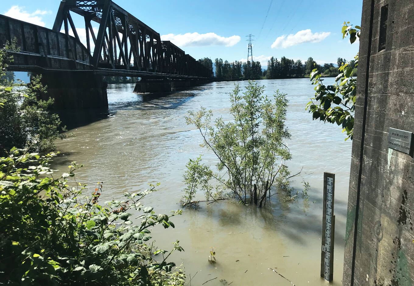 As of June 30, the Fraser River water level, at the Mission gauge, was just under six metres. Current forecasts expect another peak at around six metres before levels drop again. (Kevin Mills/Black Press Media)