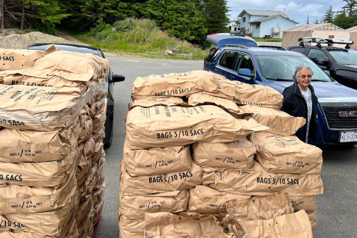 Old Massett Village Council received 21,000 pounds of potatoes, which they are distributing to residents on Haida Gwaii. (Photo: Christopher David Horner)