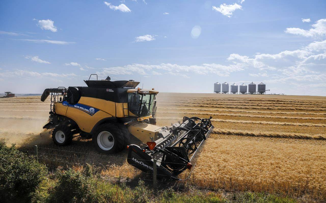 Statistics Canada says wholesale sales rose 1.6 per cent in May to $81.1 billion, boosted by higher sales in the food, beverage and tobacco subsector and the machinery, equipment and supplies subsector. David Reid drives a combine while harvesting a wheat crop near Cremona, Alta., Thursday, Sept. 9, 2021. THE CANADIAN PRESS/Jeff McIntosh