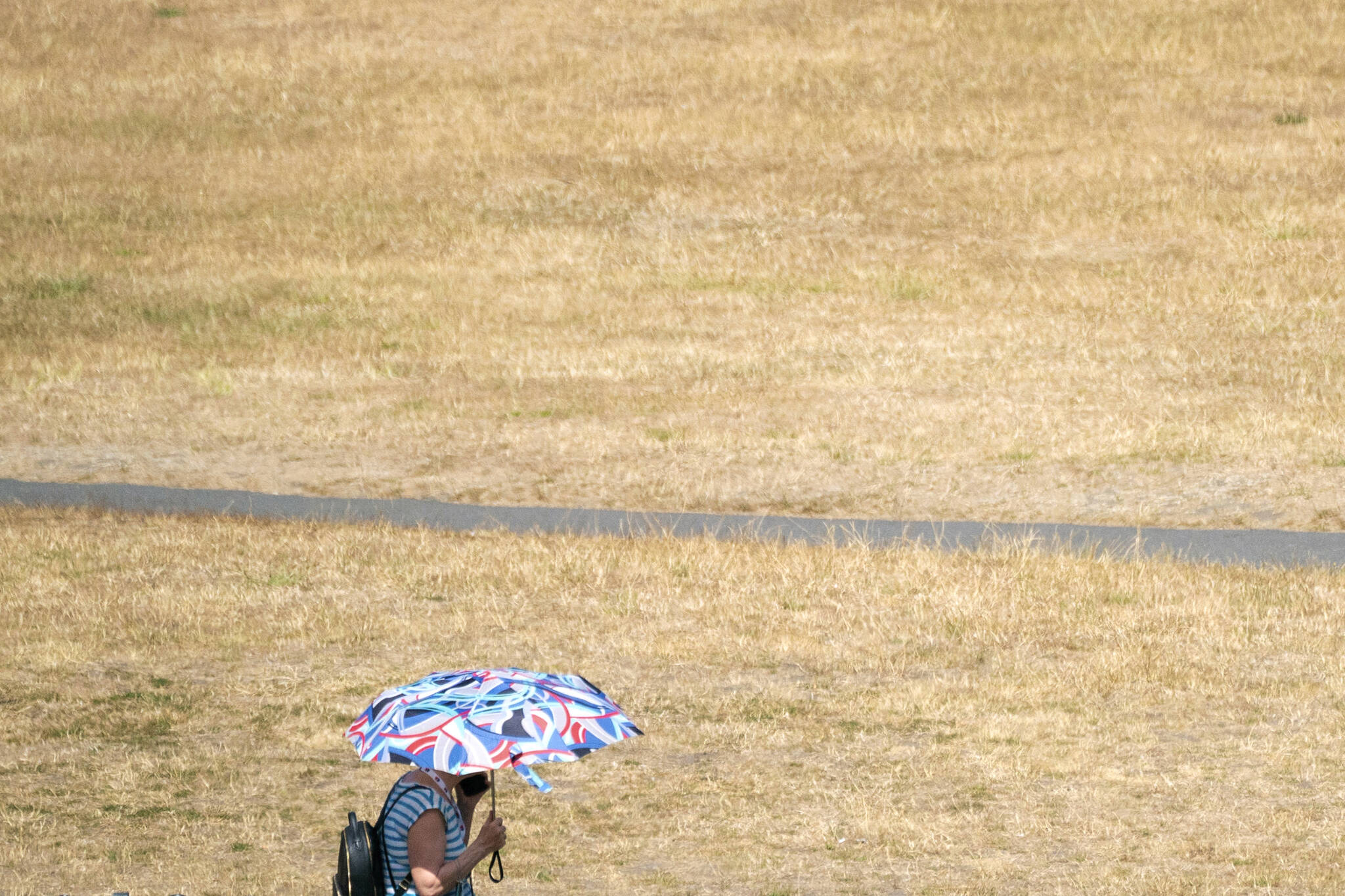 A woman uses an umbrella to shade herself from the sun in Greenwich Park, south east London, Monday July 18, 2022. Britainâ€™s first-ever extreme heat warning is in effect for large parts of England as hot, dry weather that has scorched mainland Europe for the past week moves north, disrupting travel, health care and schools. (Dominic Lipinski/PA via AP)
