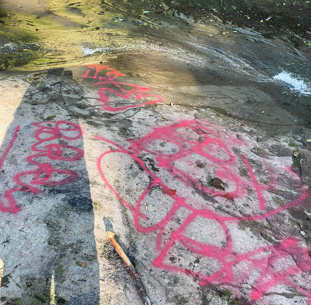 Vandals spray painted Cliff Falls, a popular natural area of Maple Ridge. (Special to The News)