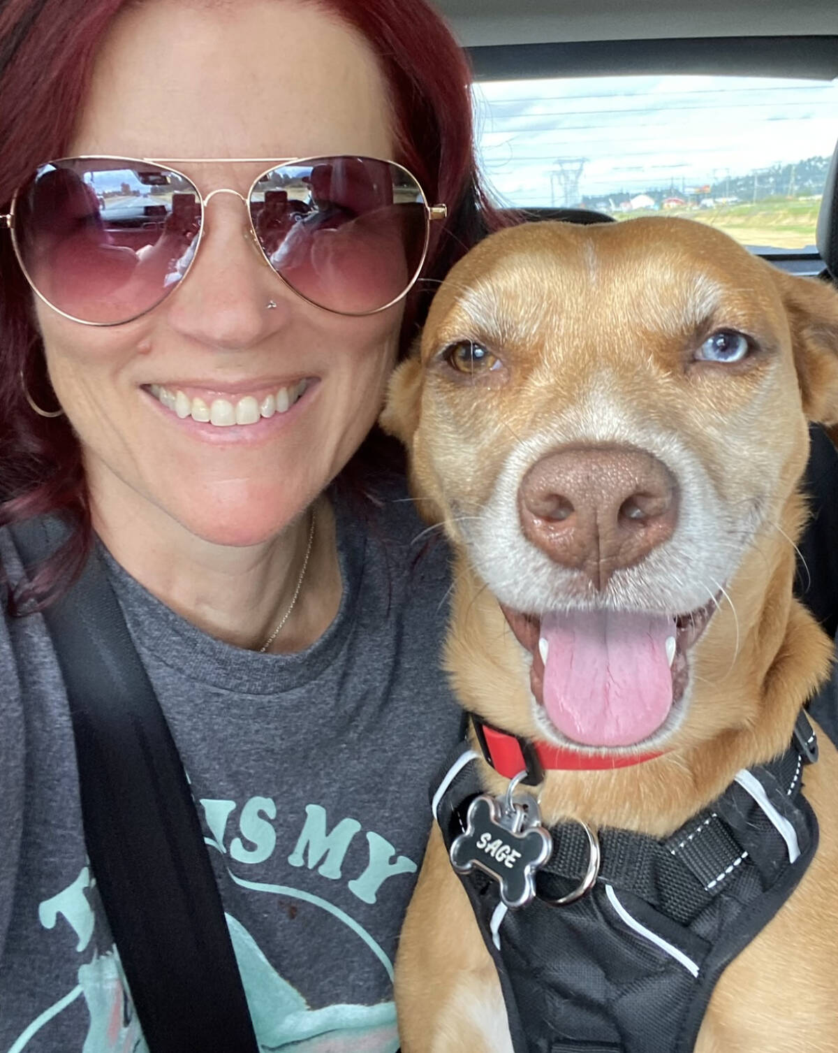 Amber Medeiros was walking her dog Sage in Meadows Edge Park in Langley early in the morning of June 15, when a coyote began to stalk them. (Special to Langley Advance Times)