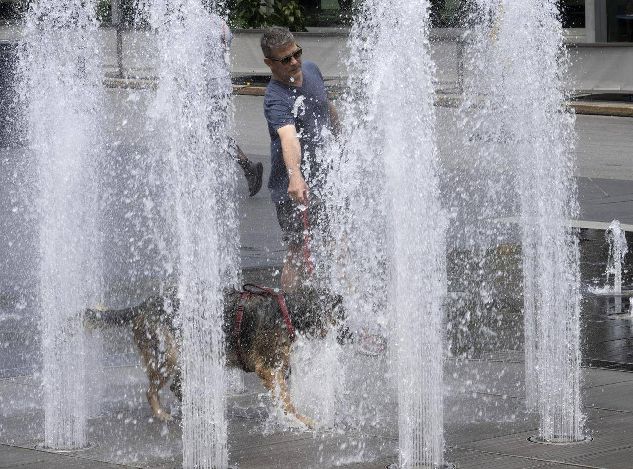 A man cools off his dog at a fountain as temperatures go above 30 C on Wednesday, July 20, 2022 in Montreal. Heat warnings remain in place throughout Eastern Canada, with Environment Canada warning of humidex levels in the mid to high 30s or even 40 C heading into the weekend. THE CANADIAN PRESS/Ryan Remiorz