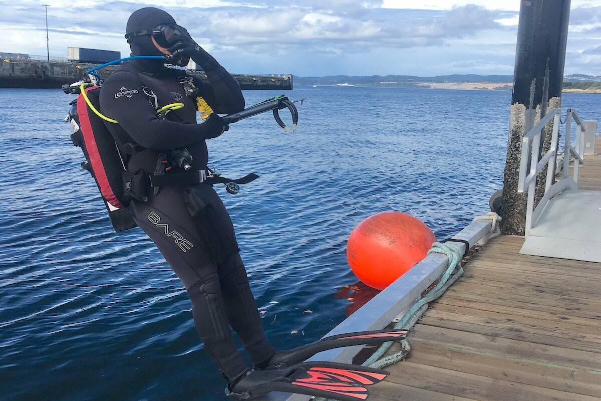 Kieran Cox enters the water near Victoria’s Inner Harbour to collect fish and invertebrates for a study on how microplastics move through marine food webs. (Courtesy of Hailey Davies)