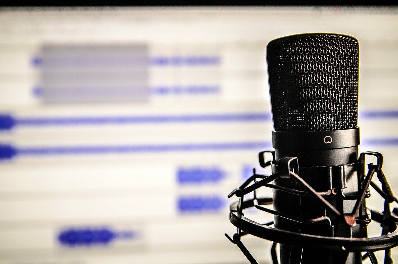 Voice acting is considered an essential human component of an industry that’s projected to earn $204 billion by 2025 according to a market report by Lucintel. (Pixabay)