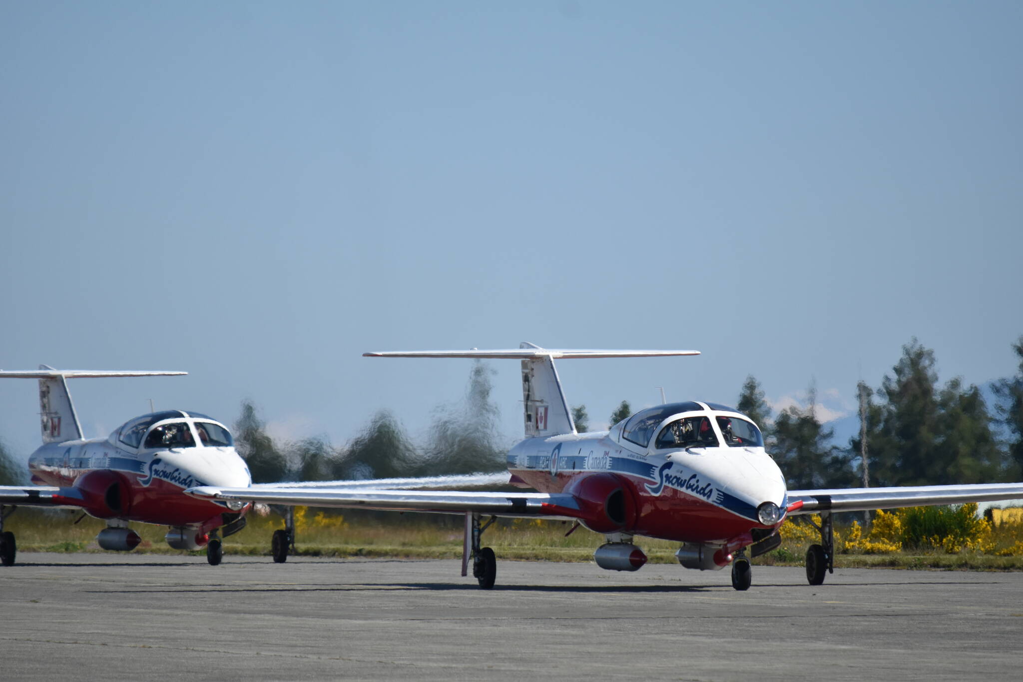 The Snowbirds return to the runway at 19 Wing Comox during spring training. Photo by Erin Haluschak