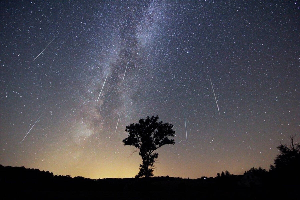 The Perseid meteor shower will be at its peak and best viewed during the nights of Aug. 11 and 12. (File photo)