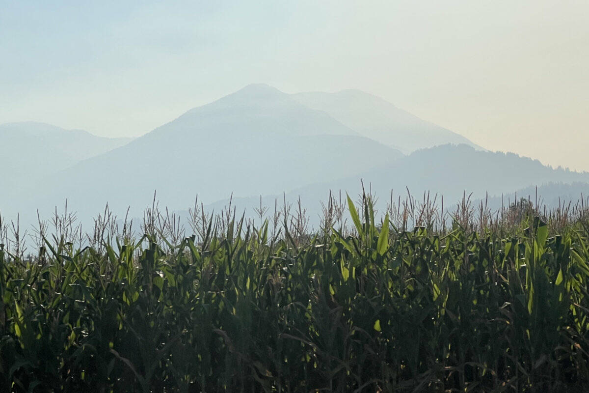 Smoke from fires in Washington State moved across the border into Chilliwack on Aug. 30, 2022. (Paul Henderson/ Chilliwack Progress)