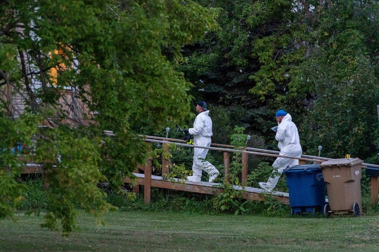 Investigators with protective equipment enter a house in a crime scene in Weldon, Sask., Sunday, Sept. 4, 2022. Saskatchewan RCMP has confirmed that there are 10 dead while 15 are injured following the stabbings that occurred at James Smith Cree Nation and Weldon in Saskatchewan. THE CANADIAN PRESS/Heywood Yu