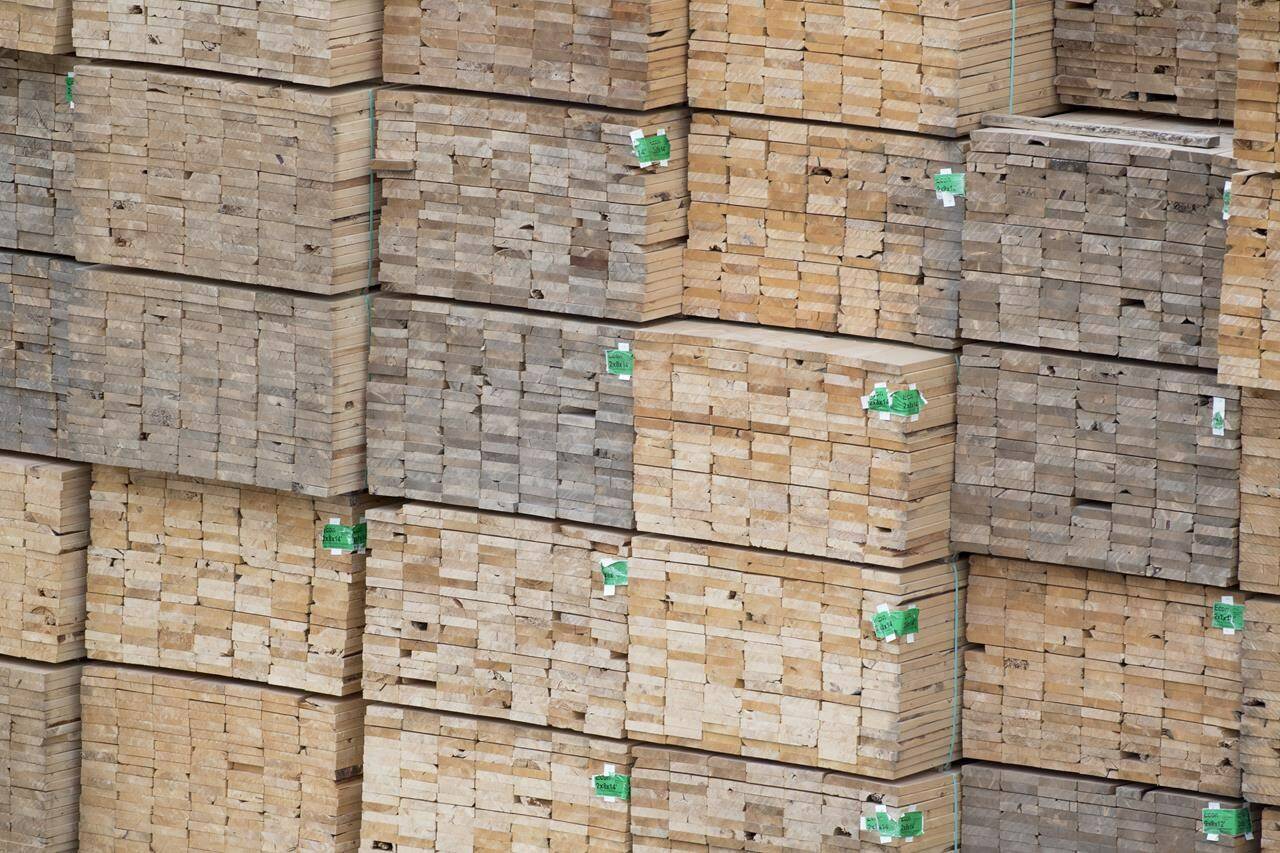 Softwood lumber is pictured in Richmond, B.C., Tuesday, April 25, 2017. Canfor Corp. is temporarily cutting production in British Columbia due to what it says are challenging market conditions. THE CANADIAN PRESS/Jonathan Hayward