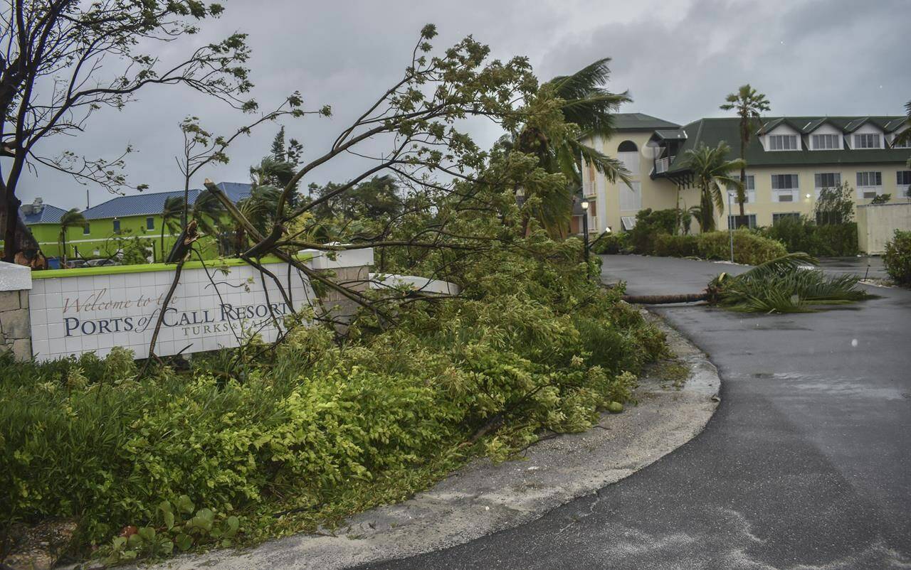 Fallen trees lay over the Ports of Call Resort entrance after the passage of Hurricane Fiona in Providenciales, Turks and Caicos Islands, Tuesday, Sept. 20, 2022. (AP Photo/Vivian Tyson)