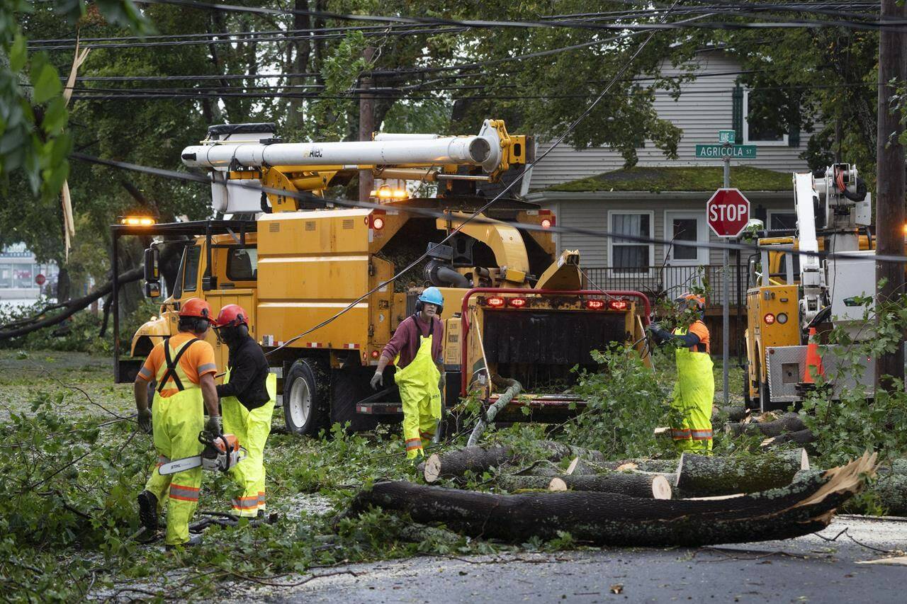 Arborists work to clear fallen trees and downed wires from damage caused by post-tropical storm Fiona in Halifax on Saturday, September 24, 2022. THE CANADIAN PRESS/Darren Calabrese