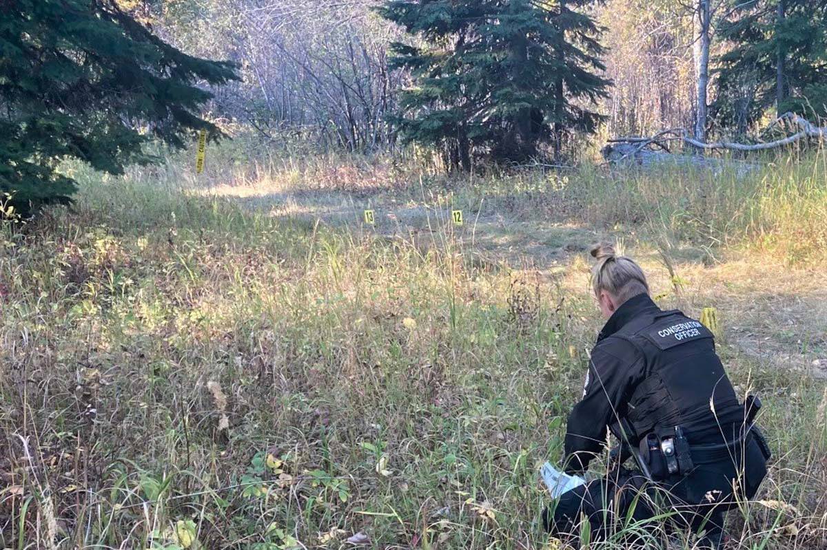 A conservation officer examines the scene where two women and a teen were attacked by a bear near Dawson Creek Oct. 3. The women were critically injured, while the bear was shot and killed by police. (B.C. Conservation Officer Service/Facebook)