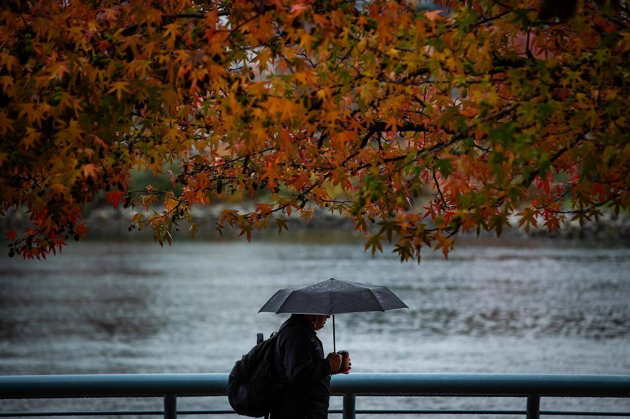 A person holds an umbrella as rain falls while walking under fall foliage on the False Creek seawall in Vancouver, on Saturday, Oct. 23, 2021. THE CANADIAN PRESS/Darryl Dyck