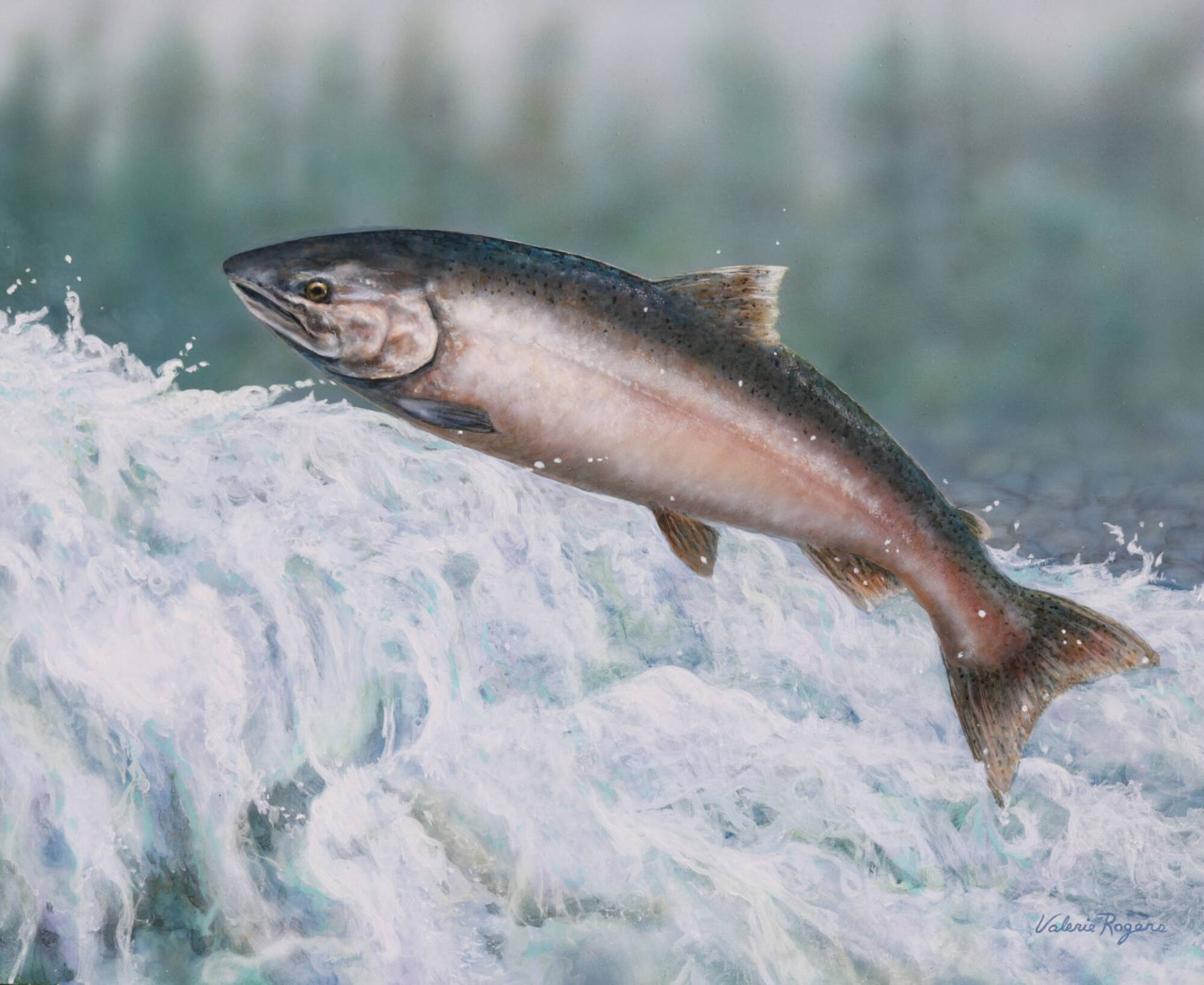 Rapid Ascent, Salmon Arm artist Valerie Rogers’ painting of a chinook salmon ascending rapids on its journey to spawn, is the winner of the Pacific Salmon Foundation’s prestigious Salmon Conservation Stamp Art Competition for 2023-24. (Photo contributed)