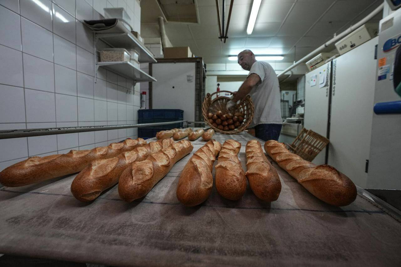 Baker David Buelens puts the baguettes into a basket at a bakery, in Versailles, west of Paris, Tuesday, Nov. 29, 2022. The humble baguette — the crunchy ambassador for French baking around the world — is being added to the U.N.’s list of intangible cultural heritage as a cherished tradition to be preserved by humanity. UNESCO experts gathering Wednesday Nov. 30, 2022 in Morocco decided that the simple French flute deserved U.N. recognition. (AP Photo/Michel Euler)