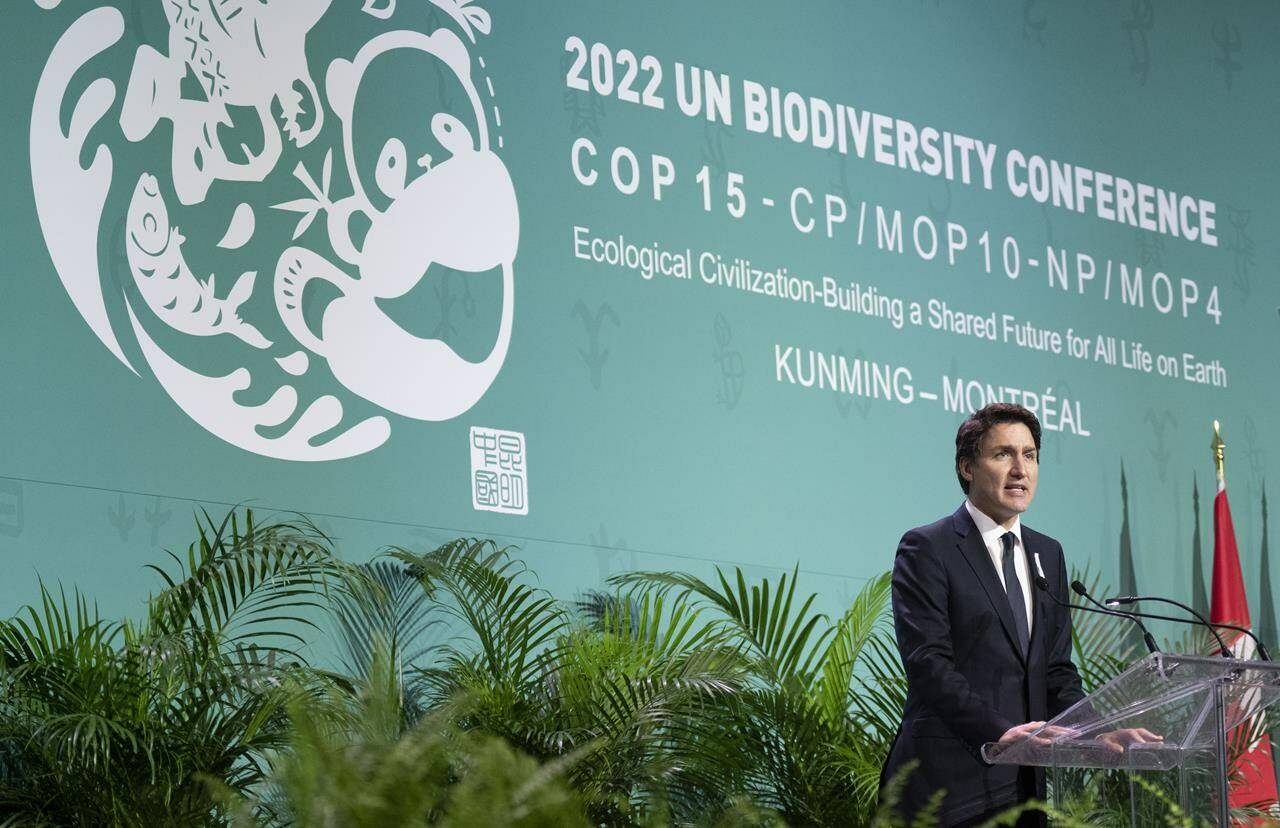 Prime Minister Justin Trudeau delivers remarks during the opening ceremony of the COP15 UN conference on biodiversity in Montreal, Tuesday, Dec. 6, 2022. Trudeau was unequivocal Wednesday when asked if Canada was going to meet its goal to protect one-quarter of all Canadian land and oceans by 2025. THE CANADIAN PRESS/Paul Chiasson