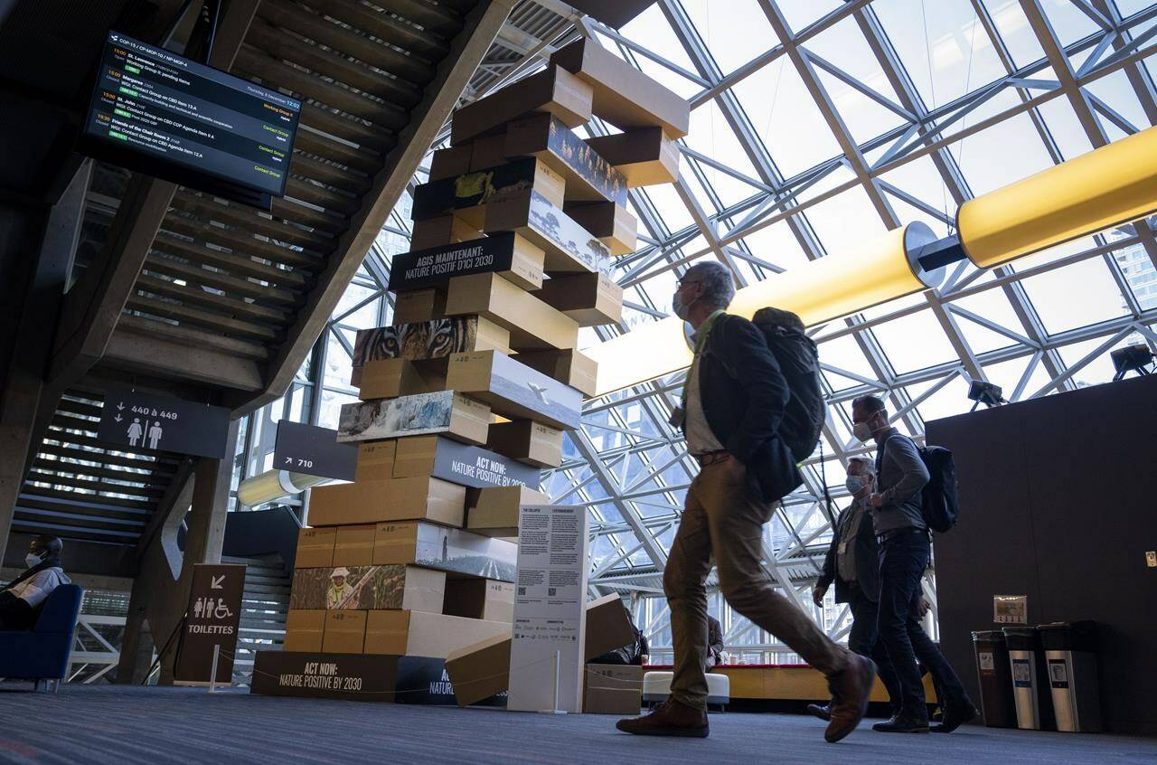 Delegates walk past a giant Jenga-style tower at the COP15 United Nations conference on biodiversity in Montreal, Thursday, Dec. 8, 2022. The tower illustrates the complex web of life where each brick nudged out of place represents damage caused to nature and with it the danger of ecosystem collapse. THE CANADIAN PRESS/Paul Chiasson