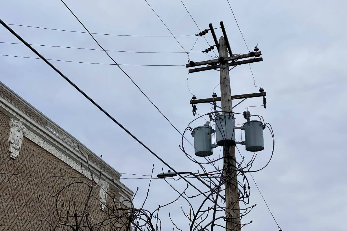 BC Hydro said there is no cause for concern after Greater Victoria residents took to social media to report crackling and popping sounds coming from power lines in recent weeks. (Justin Samanski-Langille/News Staff)