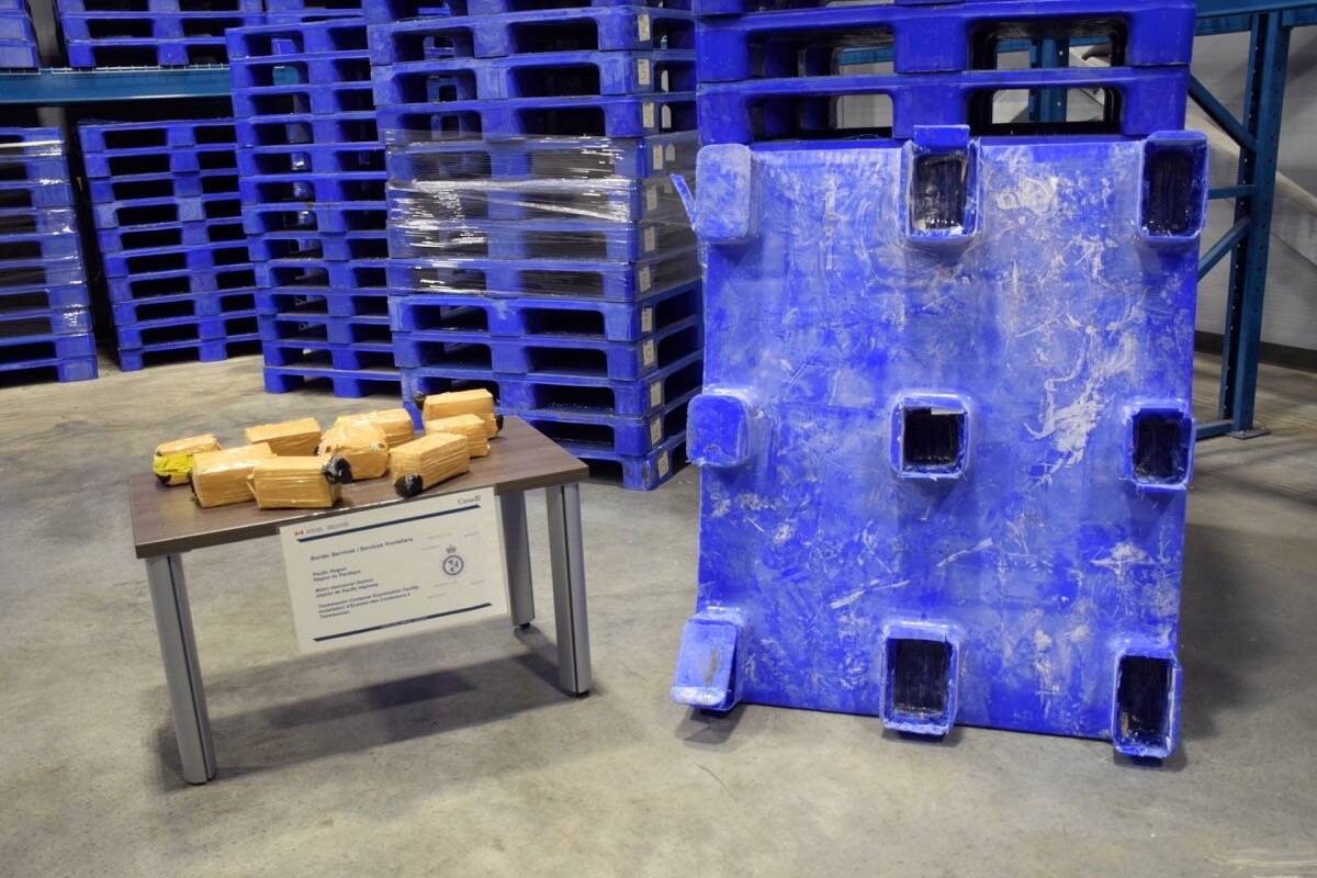 On Oct. 25, 2022, Canada Border Services Agency’s Metro Vancouver Marine Operations found and seized nearly 2,500 kilograms of opium concealed within 247 shipping pallets, marking the largest seizure of opium in CBSA’s history. (James Smith photo)