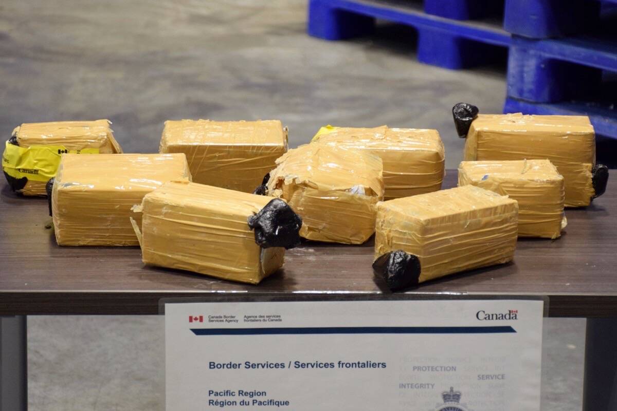On Oct. 25, 2022, Canada Border Services Agency’s Metro Vancouver Marine Operations found and seized nearly 2,500 kilograms of opium concealed within 247 shipping pallets, marking the largest seizure of opium in CBSA’s history. (James Smith photo)