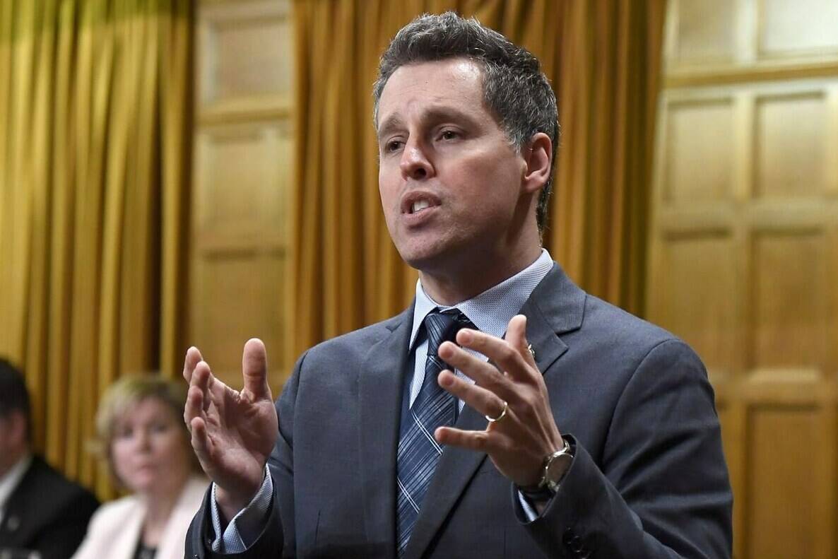 Peter Schiefke rises during Question Period in the House of Commons on Parliament Hill in Ottawa on Friday, May 4, 2018. Schiefke, chair of the House of Commons transport committee, is calling on Sunwing Airlines and Via Rail to publicly explain what caused the travel nightmare that plagued thousands of Canadians over the holidays. THE CANADIAN PRESS/Justin Tang