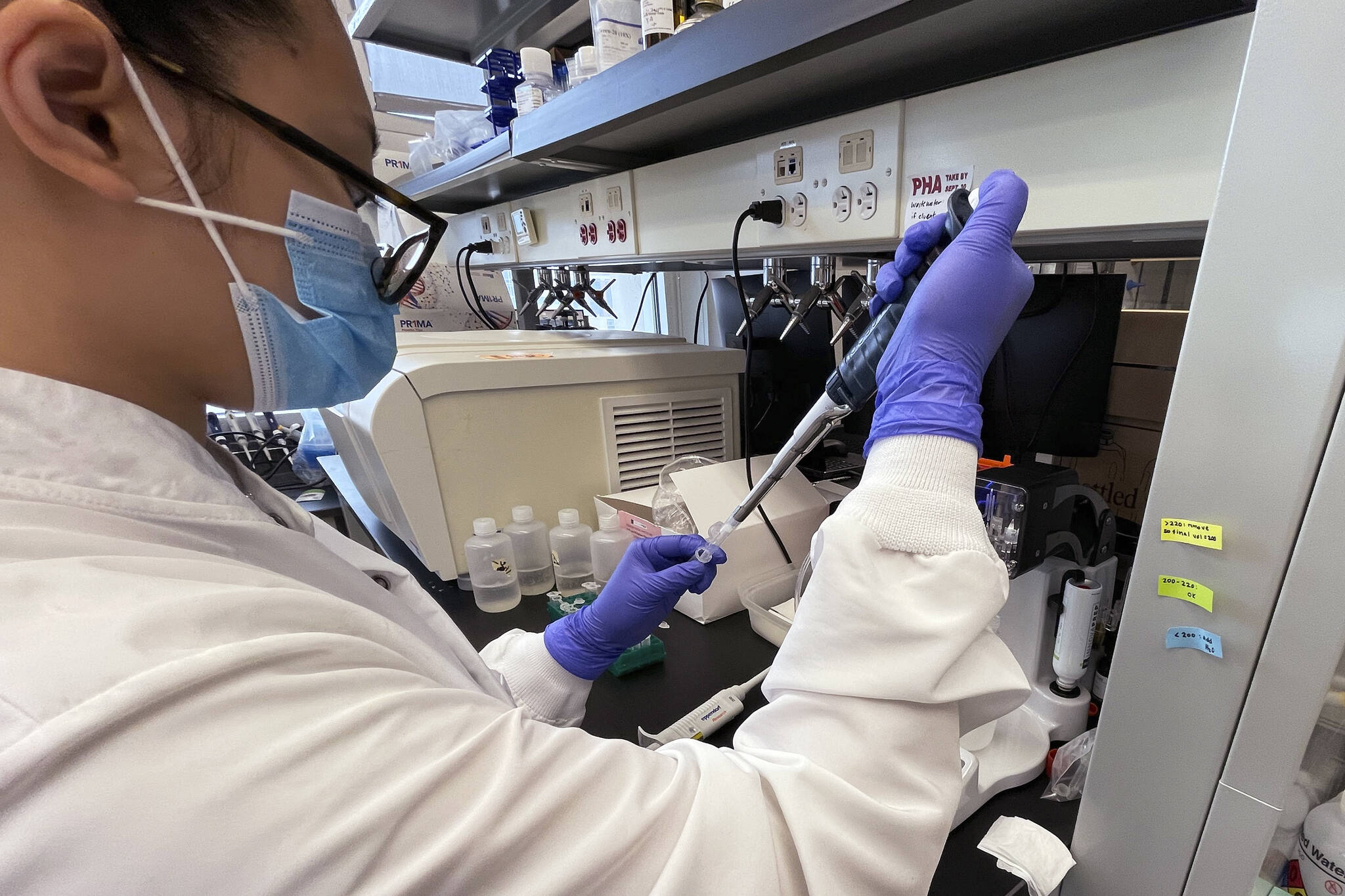 Emily Lu, a student in the environment science graduate program at Ohio State, tries to extract ribonucleic acid (RNA) from wastewater samples to test for fragments of the coronavirus, March 23, 2022 at a school lab in Columbus, Ohio. (AP Photo/Patrick Orsagos)