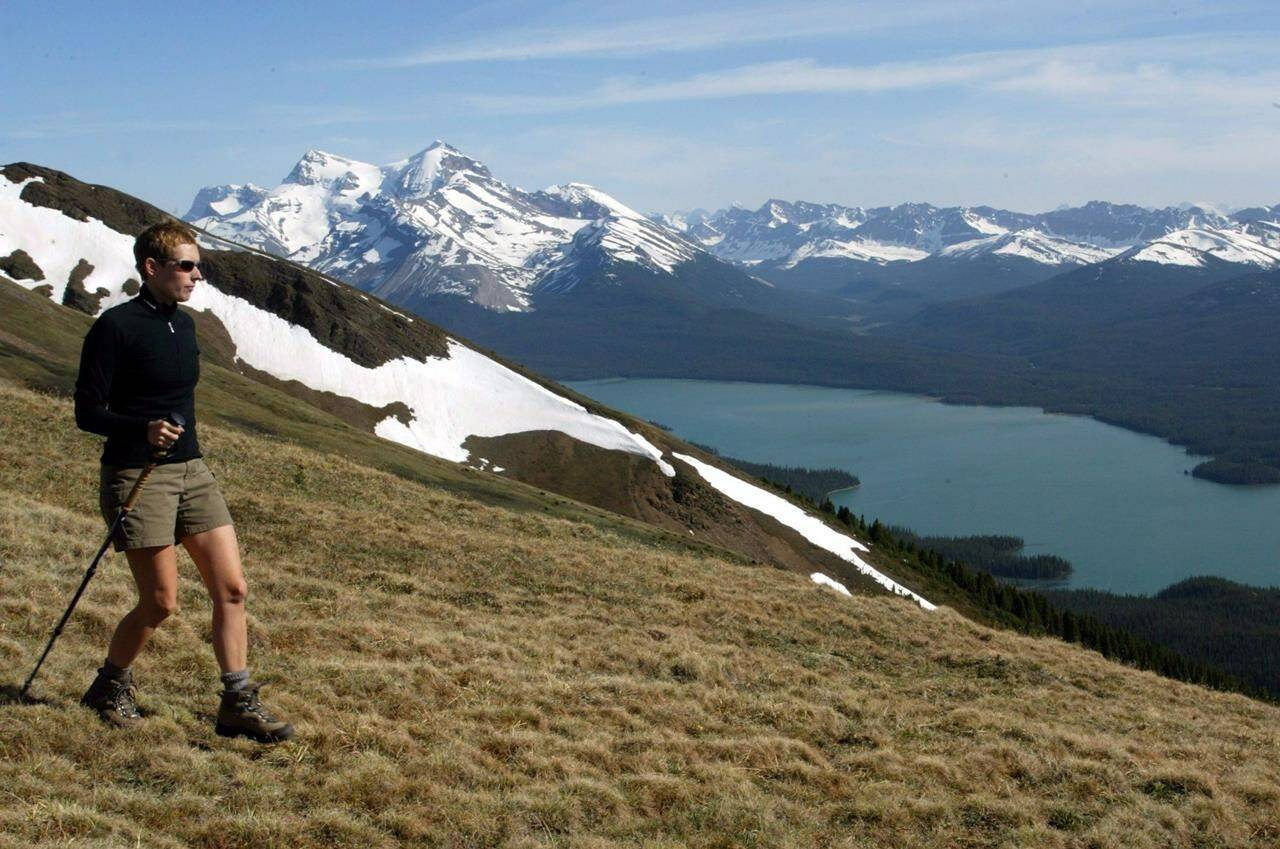 A hiker takes in the snow covered mountains surrounding Maligne Lake in Jasper National Park on June 22, 2002. Environmental groups are welcoming Parks Canada’s buyout of two businesses in Jasper National Park’s Tonquin Valley, a scenic destination also used by vanishing caribou herds. THE CANADIAN PRESS/Jonathan Hayward