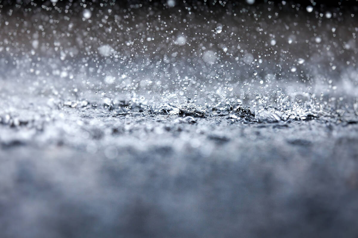 A rainfall warning is in effect for much of the south coast. (Black Press file)