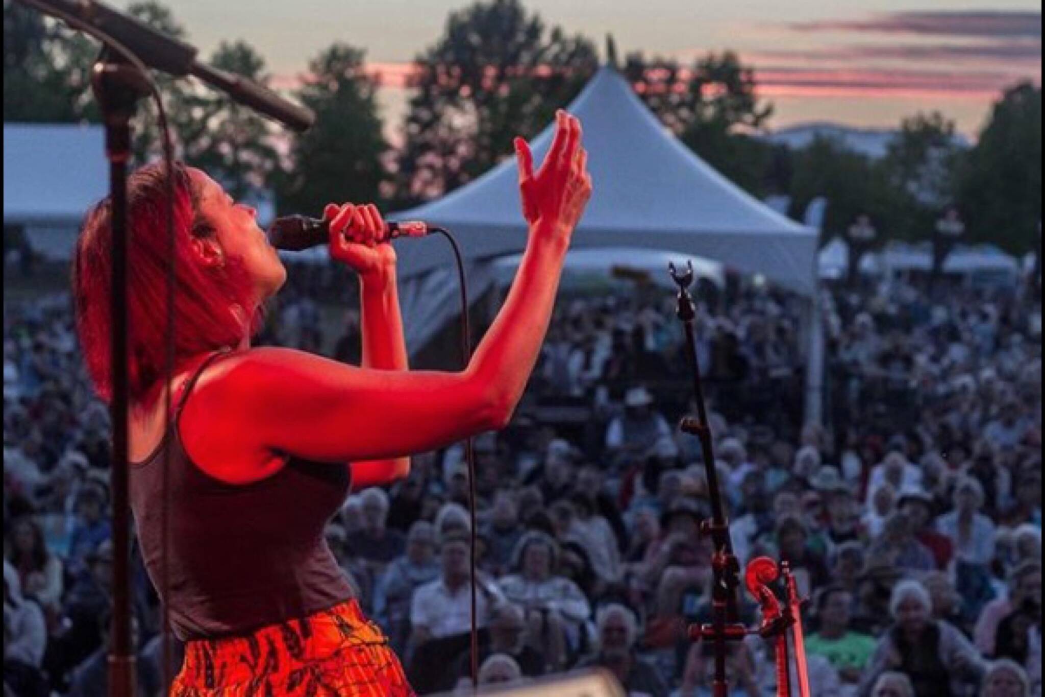 Vancouver Folk Music Festival organizers say they don’t have the funds to run the annual event in 2023. They’ll ask their membership on Feb. 1 to vote on whether to end the festival forever. (Vancouver Folk Music Festival/Instagram)