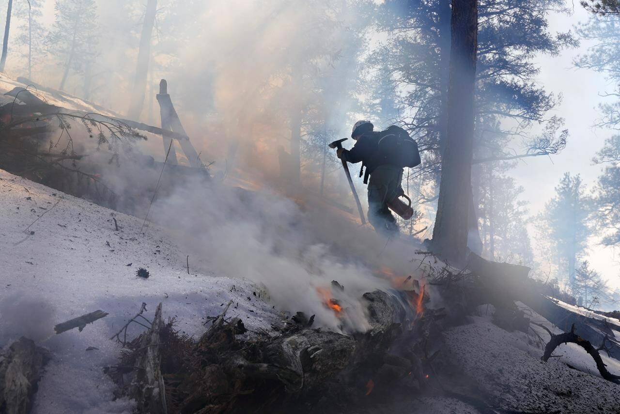 FILE - A member of the Mile High Youth Corps walks near a smoldering pile of tree debris during a controlled burn with the U.S. Forest Service in Hatch Gulch Wednesday, Feb. 23, 2022, near Deckers, Colo. U.S. Agriculture Secretary Tom Vilsack says the forest service conducted burns, tree thinning and other work to reduce wildfire risks across 5,000 square miles last year. (AP Photo/Brittany Peterson,File)