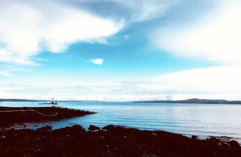 Kathi Diewert of Chemainus captures many interesting nature shots around the Island. No matter what it looks like outside, there’s no sense in creating any false sadness on so-called Blue Monday and beyond. (Photo by Kathi Diewert)