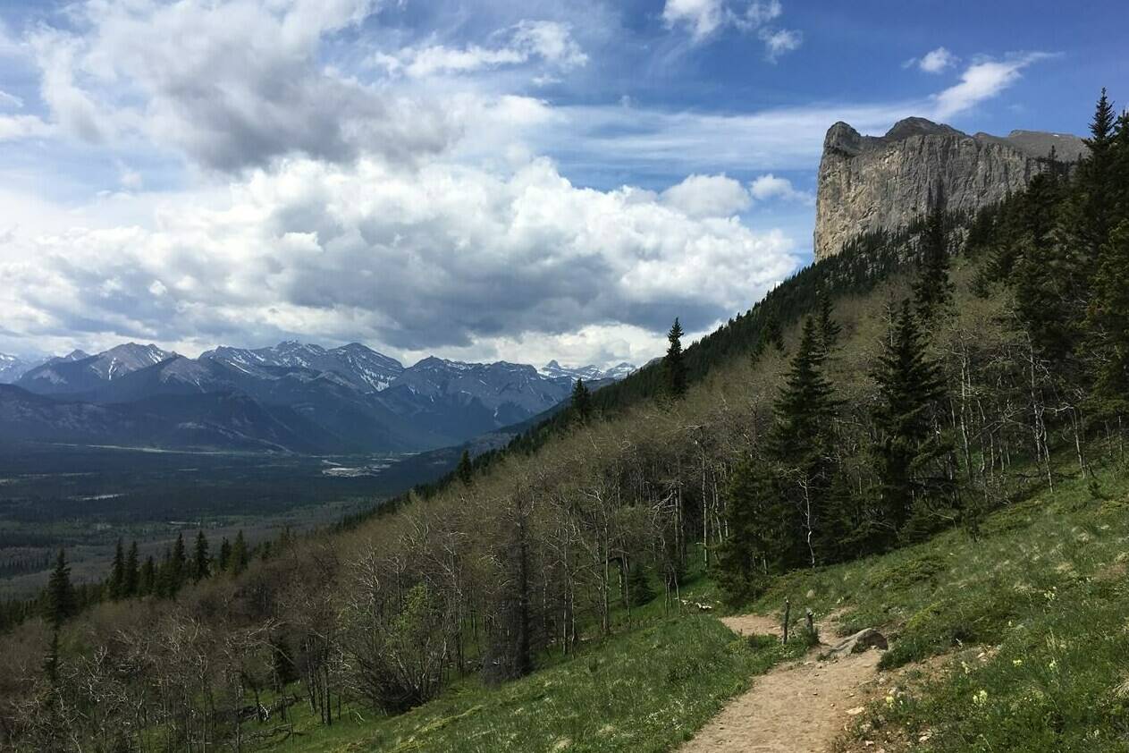 New research has spelled out for the first time the gap between official lists of trails in the southern Rockies and the number of trails there actually are, suggesting effects from the growing number of backcountry users may be larger than suspected.The hiking trail on Yamnuska in Alberta’s Bow Valley Wildland Provincial Park, part of Kananaskis Country, is shown in June 2017.THE CANADIAN PRESS/Colette Derworiz